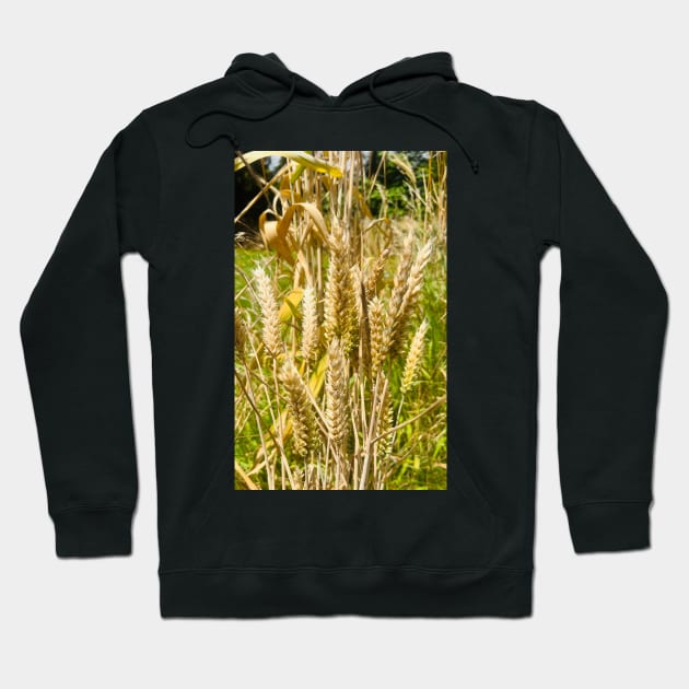 Be Generous with Wheat and Grain for the World Hoodie by Photomersion